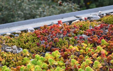 the cost of Plaidy green roof installation