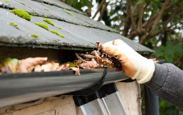 gutter cleaning Plaidy