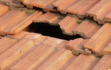 roof repair Plaidy