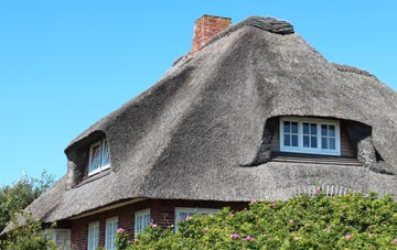 thatch roofing Plaidy